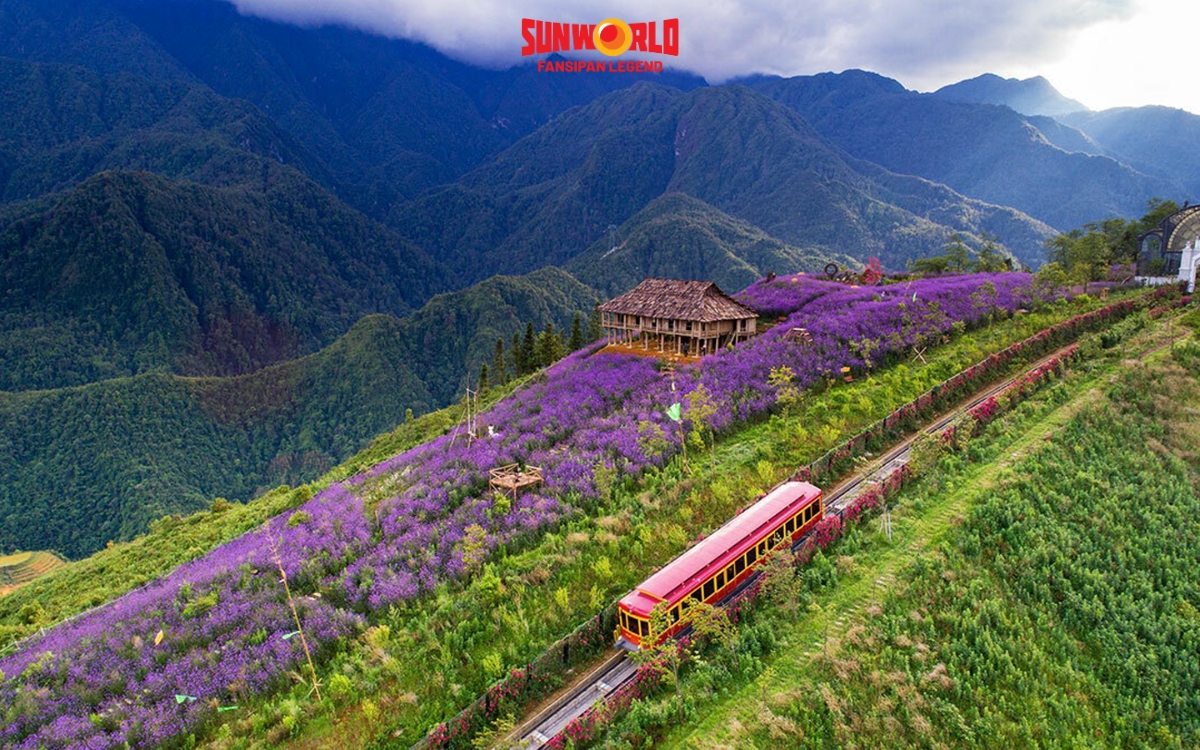 Các điểm du lịch Sapa: Thung lũng Mường Hoa