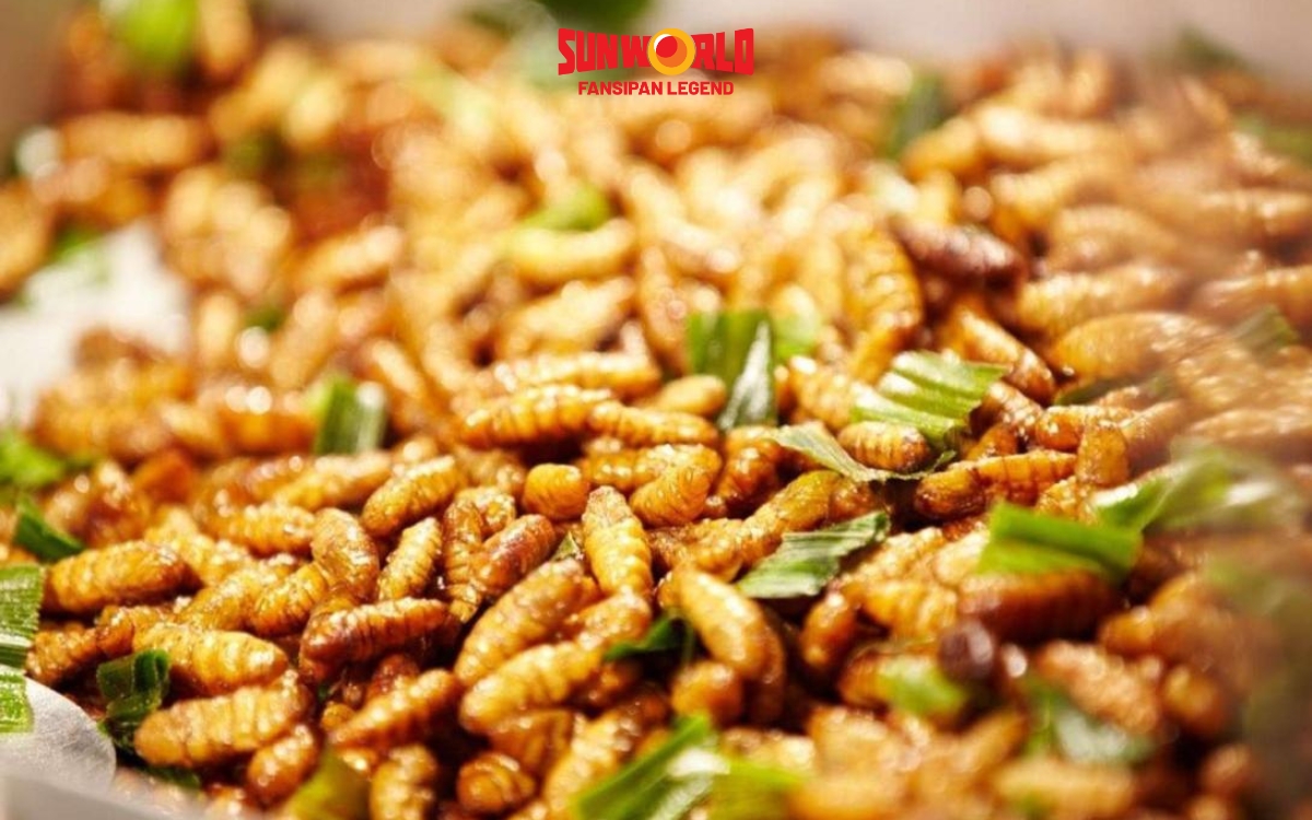 Đặc sản Tây Bắc: Nhộng ong rừng
