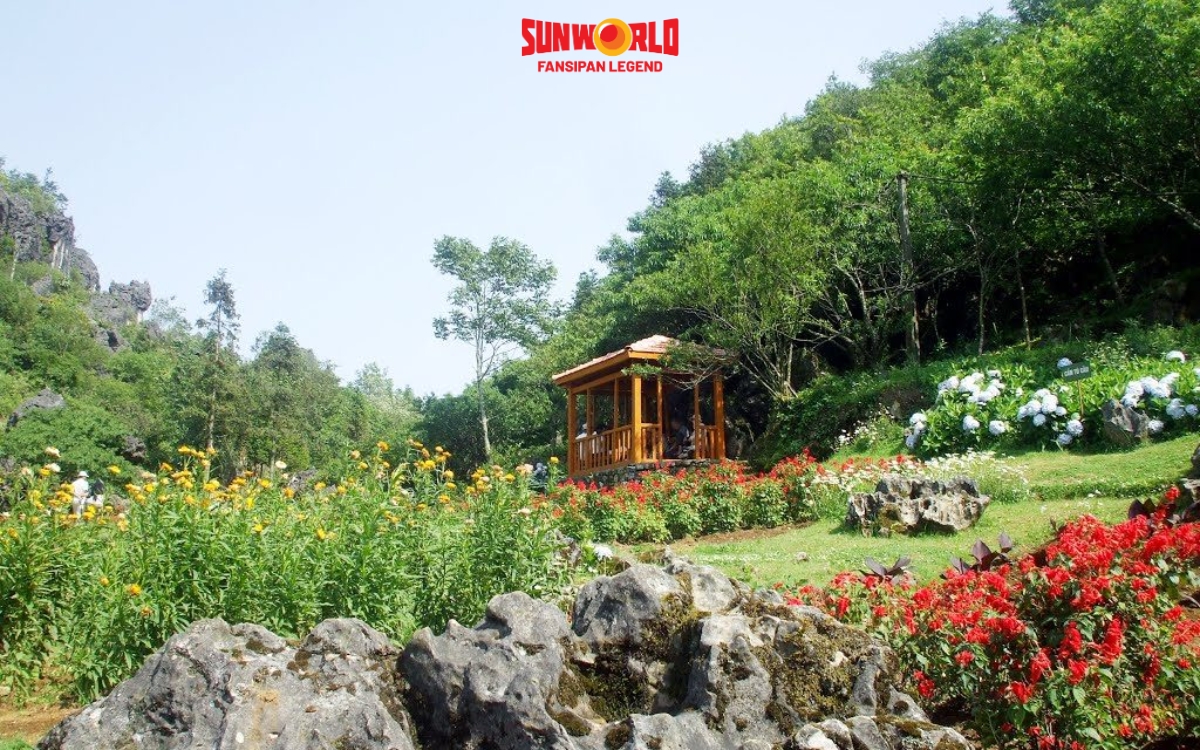Du lịch Sapa: Hệ sinh thái Hàm Rồng