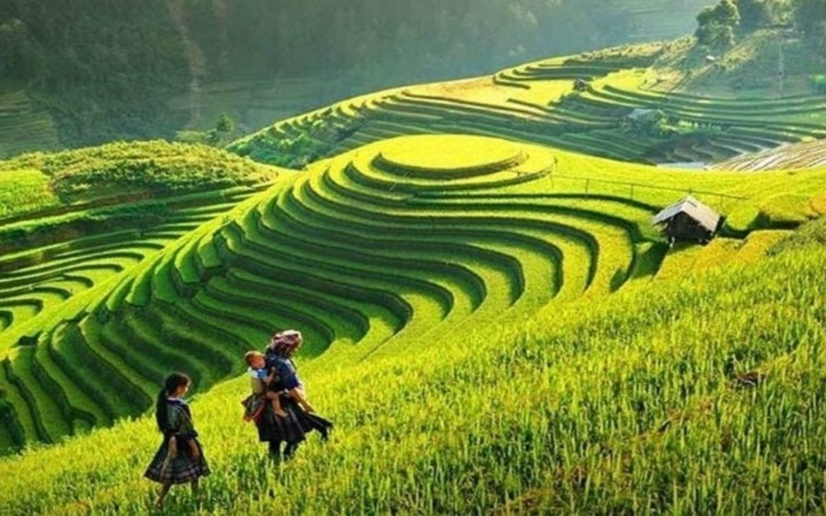 Ngắm cảnh Thung Lũng Mường Hoa khi đi Sapa 2 ngày 1 đêm