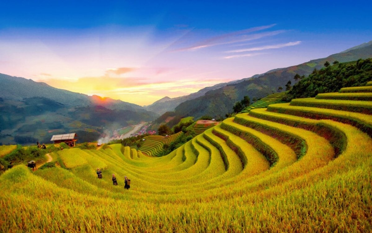 Du lịch Sapa 3 ngày 2 đêm vào Mùa lúa chín