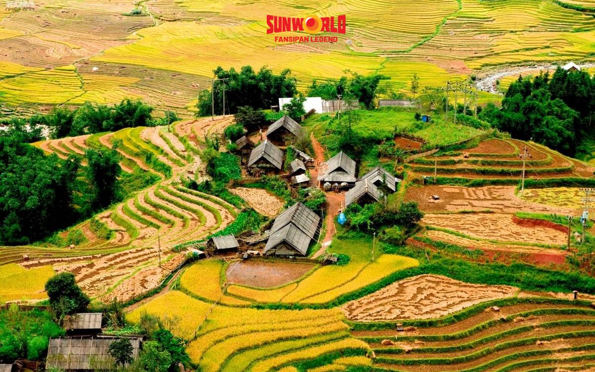 Giá vé các điểm du lịch Sapa: Vé Tả Phìn