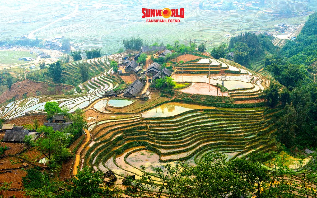 Nên đi Fansipan vào tháng mấy? là câu hỏi phổ biến 