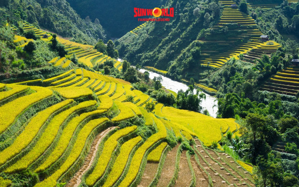 Nên đi Fansipan vào tháng mấy? Tháng 9 - 10 là mùa vàng ở Tây Bắc 