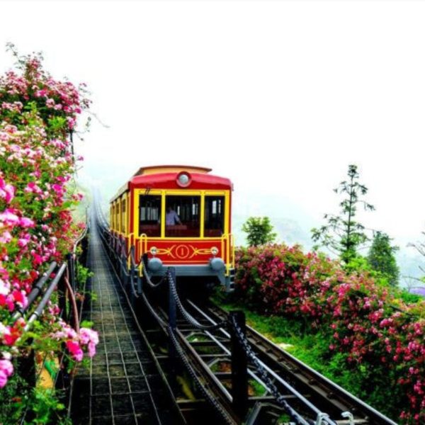 Vé Tàu Hỏa Leo Núi Mường Hoa 2 Chiều