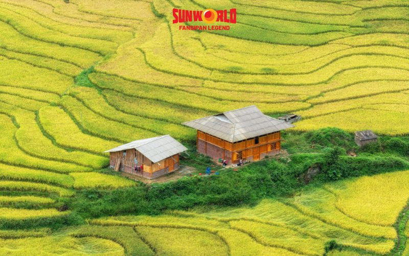Du lịch Sapa tháng 10: Ngắm ruộng bậc thang ở bản làng 
