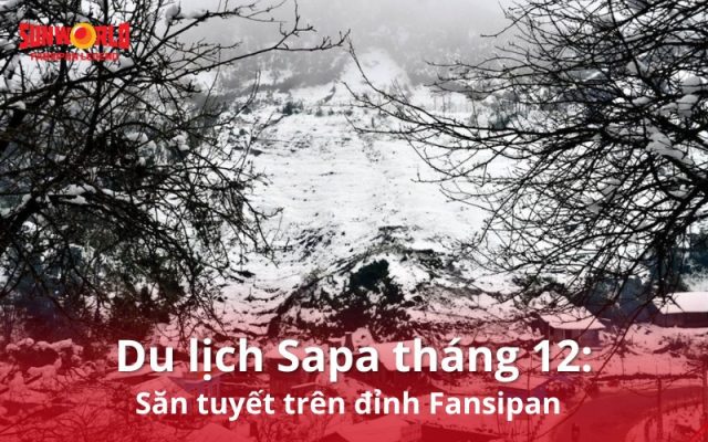 Du lịch Sapa tháng 12: Săn tuyết trên đỉnh Fansipan 