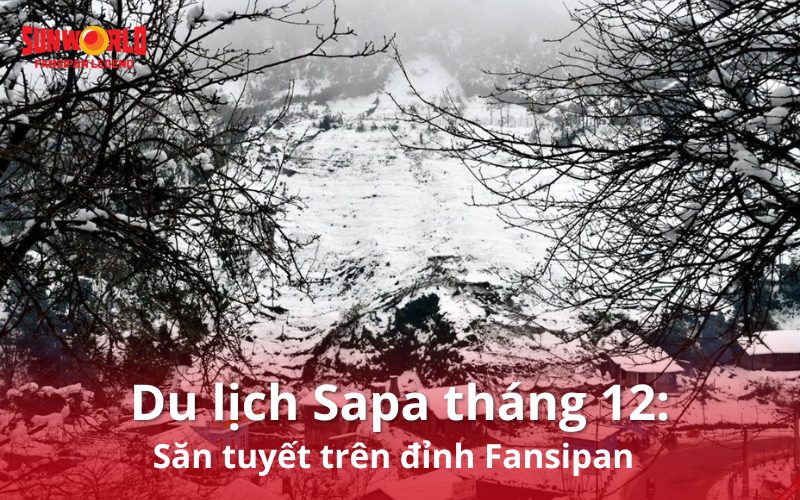 Du lịch Sapa tháng 12: Săn tuyết trên đỉnh Fansipan