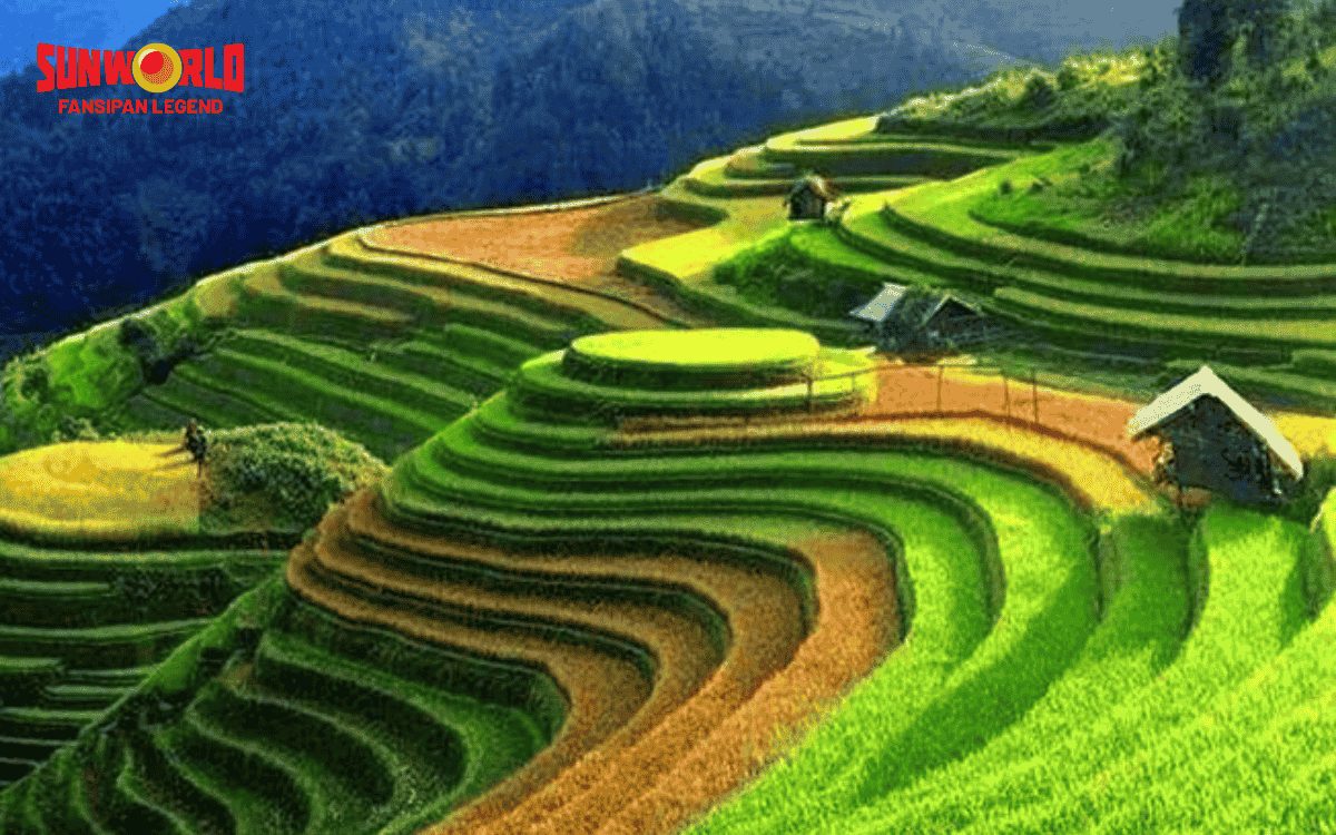 Du lịch Sapa tháng 3 có gì? Ruộng bậc thang