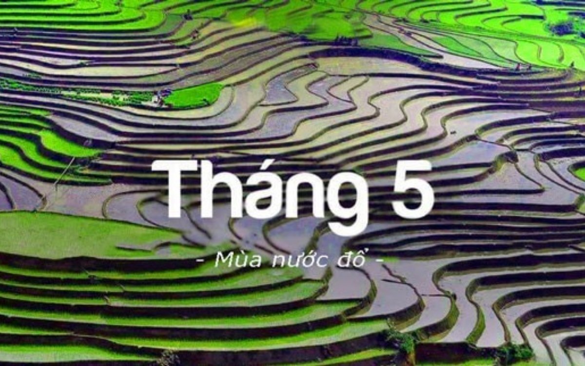 Ngắm mùa nước đổ khi du lịch Sapa tháng 5