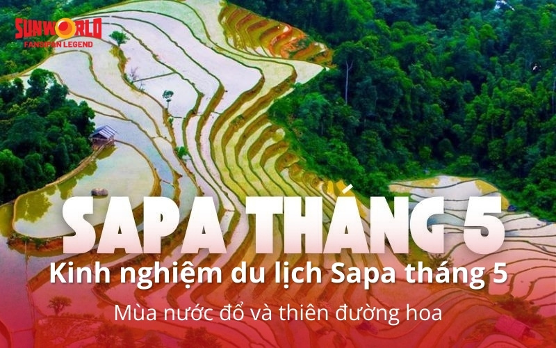 Kinh nghiệm du lịch Sapa tháng 5: Mùa nước đổ và thiên đường hoa