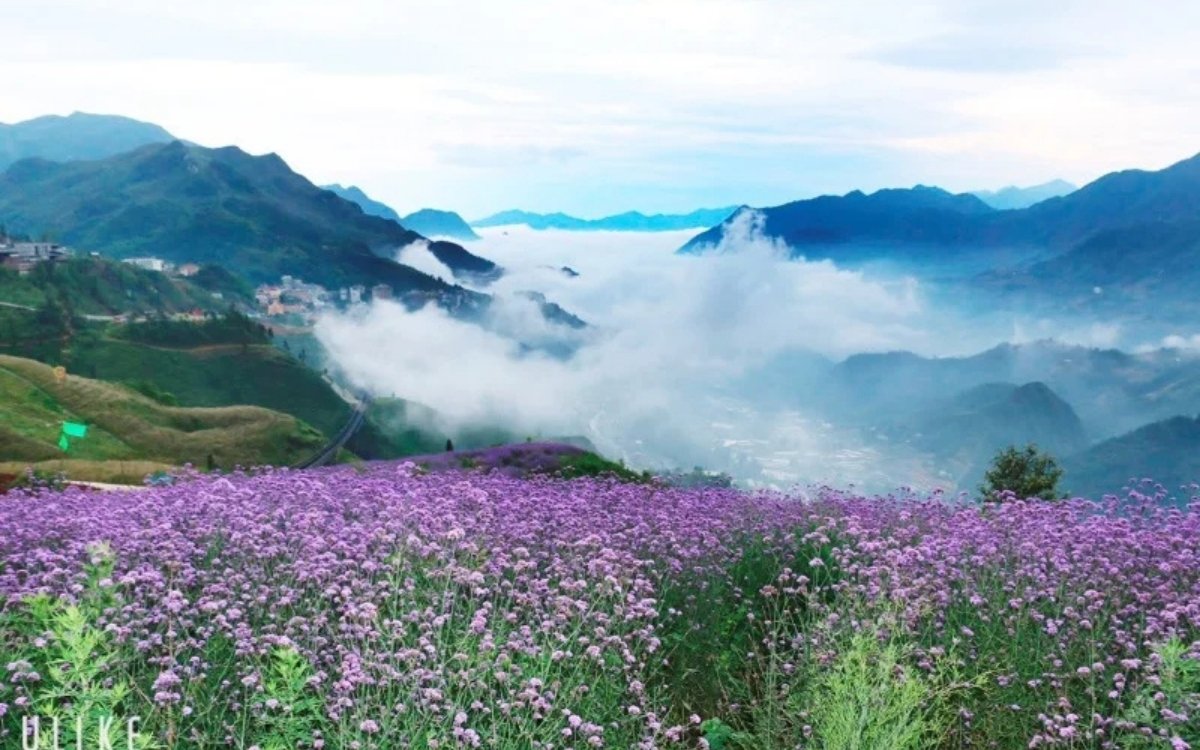 Sapa tháng 6 có mưa không?