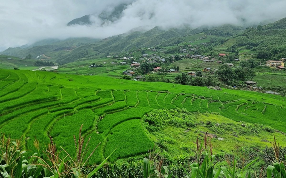 Ghé thăm Bản Tả Van khi du lịch Sapa tháng 6