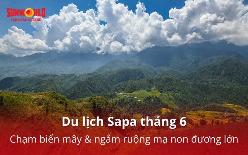 Du lịch Sapa tháng 6: Chạm biển mây & ngắm ruộng mạ non đương lớn