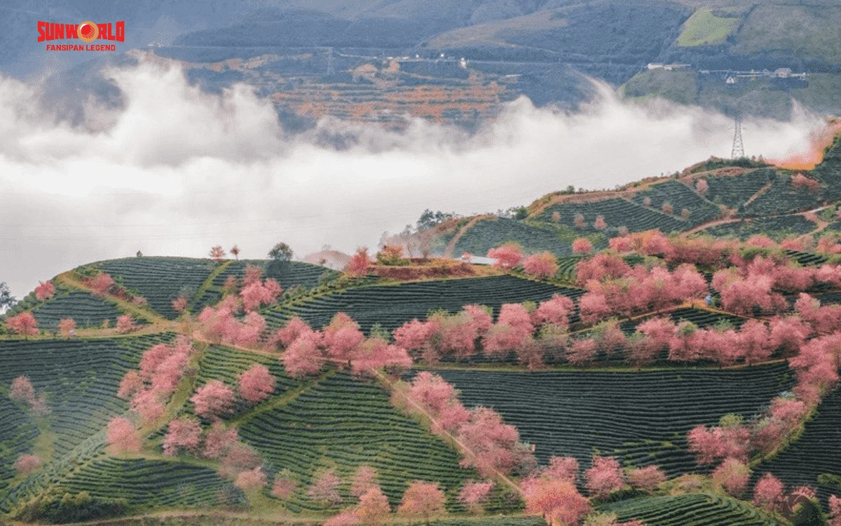 Thời tiết du lịch sapa tháng 2 