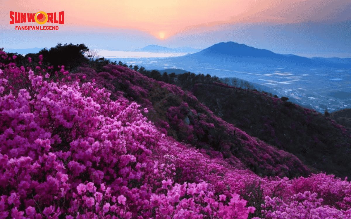 nóc nhà đông dương