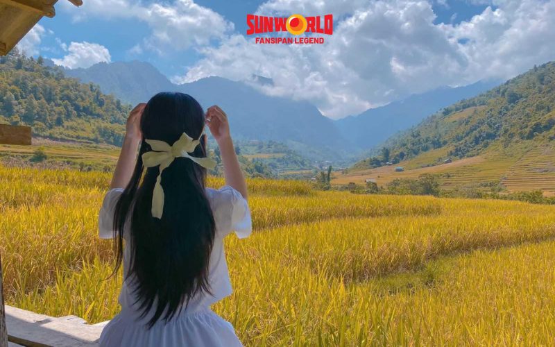Lưu ý thời tiết để ngắm cảnh và checkin vào mùa lúa chín Sapa
