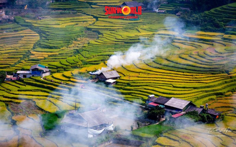 Săn mùa lúa chín Sapa ở Bản Tả Phìn