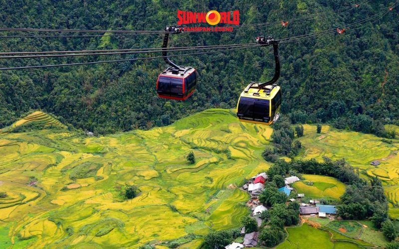 Săn mùa lúa chín Sapa ở SunWorld Fansipan Legend