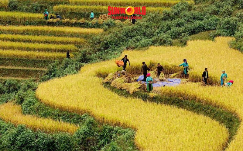 Tìm hiểu văn hóa địa phương vào mùa chín Sapa