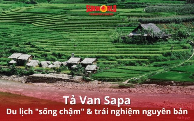 Cẩm nang khám phá Tả Van Sapa trọn vẹn A-Z