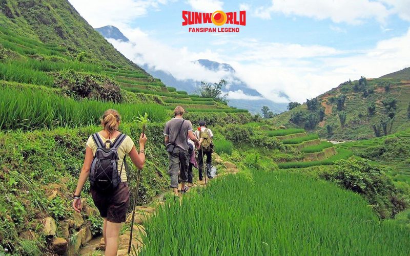 Trekking ở cung đường Lao Chải - Tả Văn Sapa