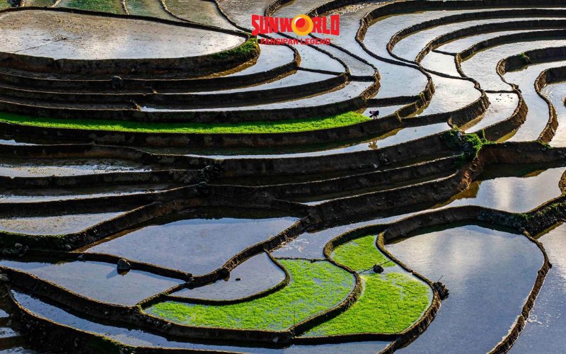 sapa mùa nước đổ