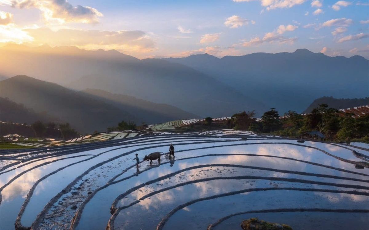 Kỹ thuật canh tác Ruộng Bậc Thang của người dân Sapa