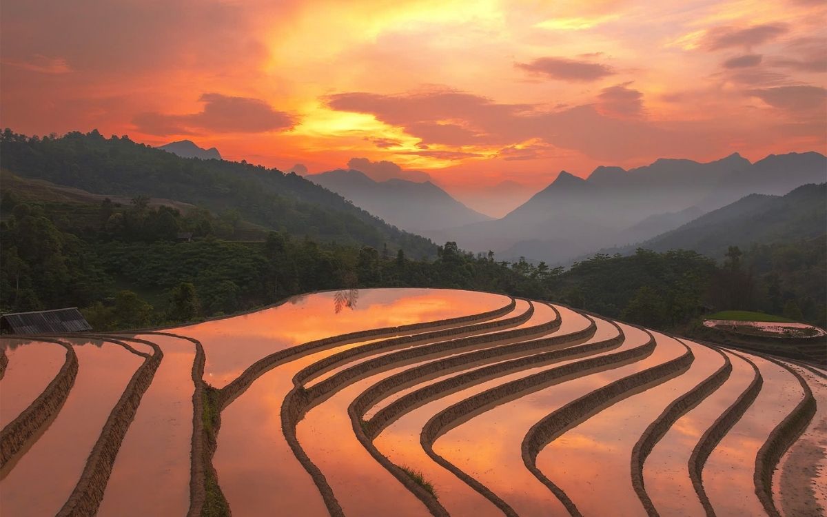 Săn ảnh Ruộng Bậc Thang hoàng hôn lửa vào mùa nước đổ Sapa