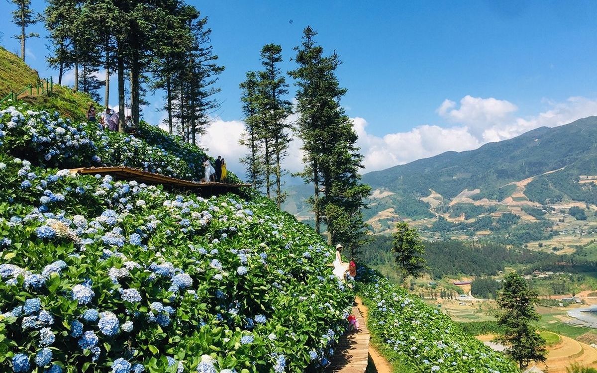 Dạo bước tại Đồi Hồng Cổ và Cẩm Tú Cầu