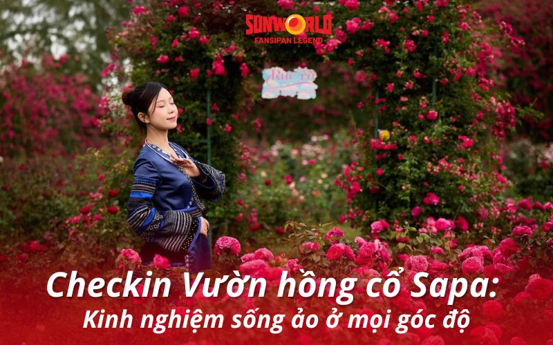 Checkin Vườn hồng cổ Sapa: Kinh nghiệm sống ảo ở mọi góc độ