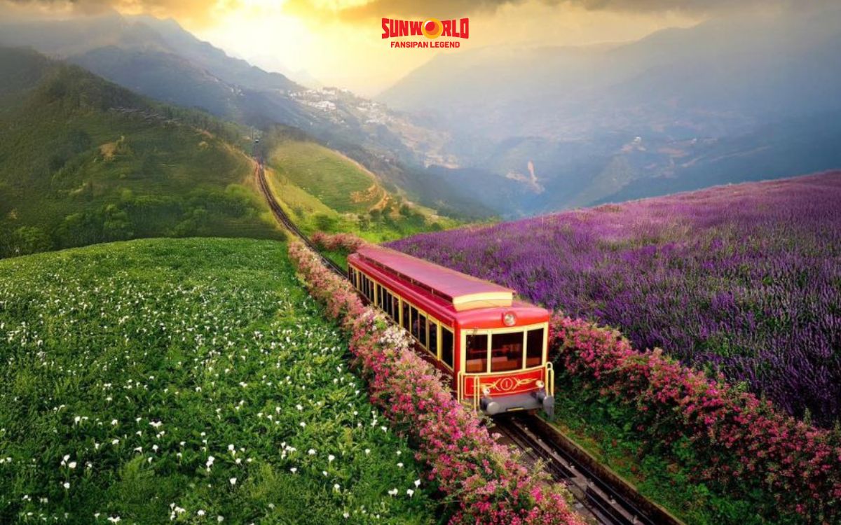 Vườn hồng cổ Sapa góc chụp từ tàu hỏa leo núi