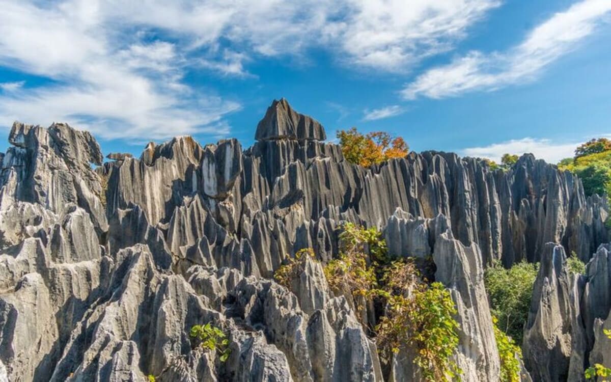 Vườn Đá Thạch Lâm ở núi Hàm Rồng Lào Cai