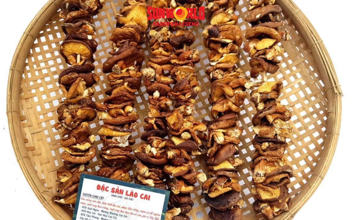 Nấm hương rừng cũng là đặc sản Sapa nổi tiếng