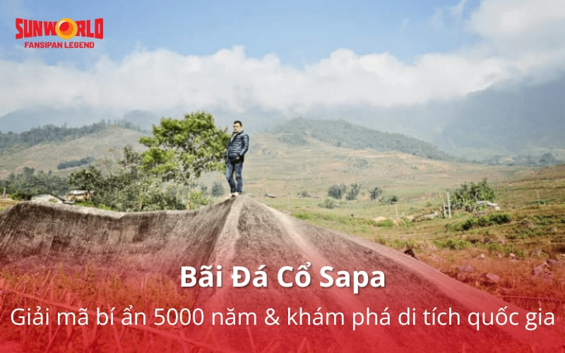 Bãi Đá Cổ Sapa: Giải mã bí ẩn 5000 năm & khám phá di tích quốc gia